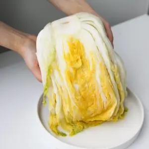 국내산 강원도 고랭지 충북 괴산 절임배추 10kg