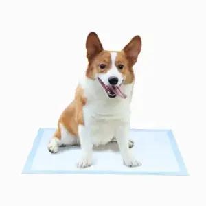 반려견 배변패드 강아지 배변훈련 위생 흡수 패드 S (WFJ5P1E)