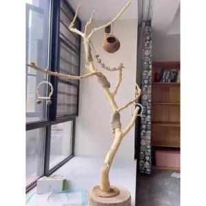 앵무새 놀이터 나무 용품 새장 사다리 스탠드 훈련 스트레스해소 퀘이커