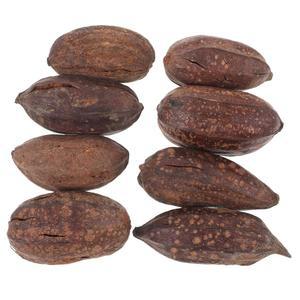 앵무새 마코를 위한 폰도틴 8pcs 천연 건조 새 씹기 외로움을 줄이기 위해 파쇄 케이지 액세서리를 찾는