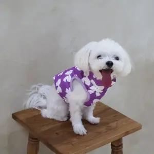 강아지 패딩조끼 리본 애완견 의류 반려동물 옷 (WFKD3M5)