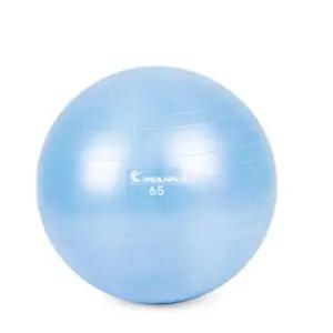 L29 짐볼 라벤더블루 전신운동 홈트 마사지짐볼 밸런