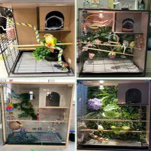 대형 아크릴 놀이터 앵무새케이지 투명 하우스