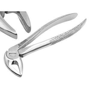 치아 발치 겸자(뿌리 아래쪽 앞쪽 33번)