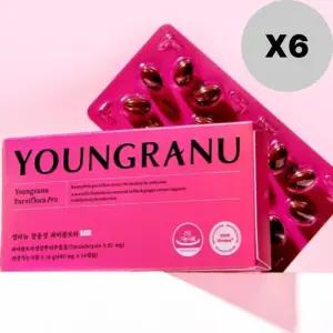 영라뉴 장용성 파비플로라 PRO 시투르맥스 14캡슐 X6