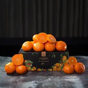 [올커니마켓] 26년 제주 햇 레드향 3kg