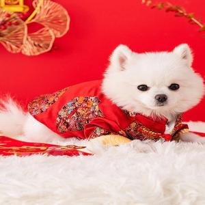 두꺼운 가을 겨울 신년 축제 중국 스타일 후드 달린 강아지 코트 따뜻한 야외용 및 고양이 옷