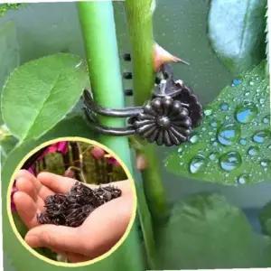 원예 용 덩쿨 넝쿨 식물 고정 핀 지지대 집게 줄기 삔 1개