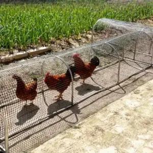 접이식 닭장 가정용 양계장 조류 사육장 조립식 철조망