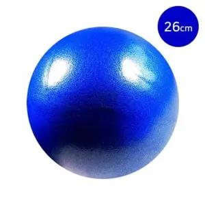 고품질 소프트미니볼26cm 마사지공 짐볼 STT 45 스포츠볼 마사지공 (WFKKQV5)