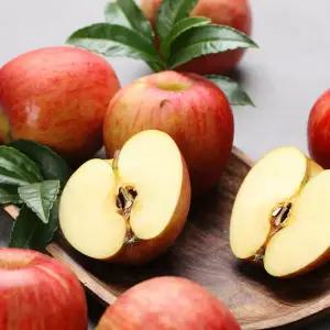 부사사과 실속 가정용 4kg(24-32과)