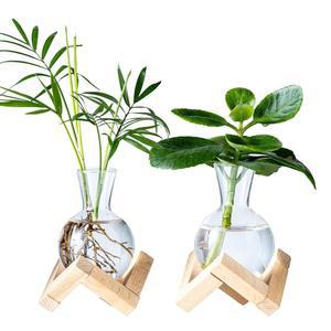 왕스디 전파 스테이션, 나무 스탠드가 있는 화병, 수경 재배 식물 스테이션 홈 오피스 장식용 소형 테이블탑 유리 전구 여성 애호가를 위한 선물 (2)