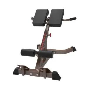 헬스장 백익스텐션 기구 복근 가정용 암컬 헬스 운동 피트니스