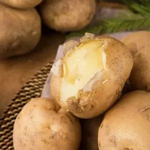 유기농 포슬포슬 수미감자 5kg (혼합) (산지발송) 강원도 햇감자