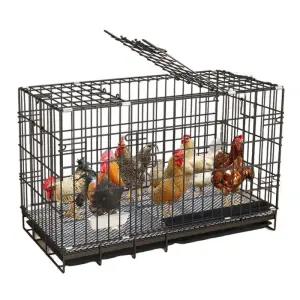 닭장 만들기 가정용 닭 사육장 하우스 케이지 조립식