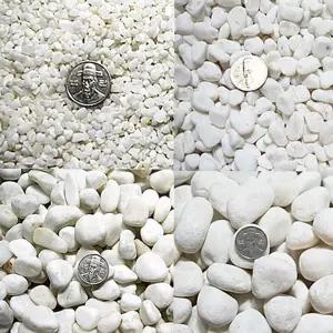 조경용 자갈 장식용 인테리어 정원용 백색 자갈 잔자갈 테라리움 꾸미기 수족관 바닥재 재료 화분 실외