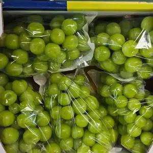 고당도 달콤한 샤인머스켓 4kg 4-5수 부직포가방 포함 선물세트