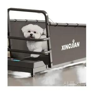 강아지 실내 훈련  산책 트레드밀 운동 재활 런닝머신