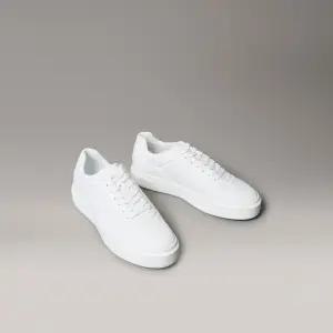 [CK ACC] 남성 프리미어 바스켓 레더 레이스업 컵솔 스니커즈 YM01452 0K4