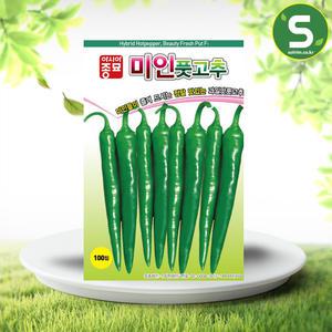 씨앗입니다! 미인풋고추씨앗 100립 과일맛 풋고추