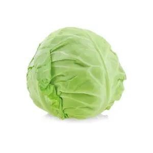 국내산 유기농 양배추 2kg (전남 무안)