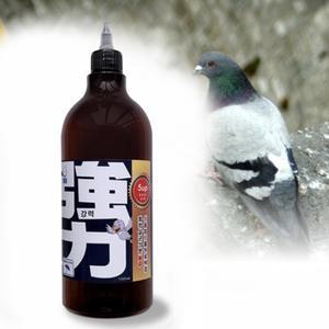 잔류성 초강력 비둘기 퇴치제 베란다 똥방지 퇴치약