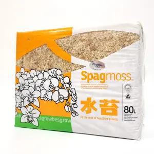 수태 뉴질랜드산 프리미어 AAA 1kg 압축 천연 이끼 3A 몬스테라 호접란 풍란