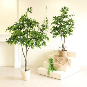 인테리어 조화 나무 조경 사무실 내추럴벤자민 2size