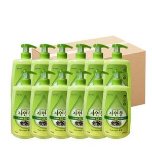 자연퐁 용기 980MLX12개입(1박스) 솔잎/오렌지 야채 과일 식기