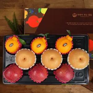 [감동]혼합세트 사과+배+한라봉 총9과3.3kg 혼합과일선물세트