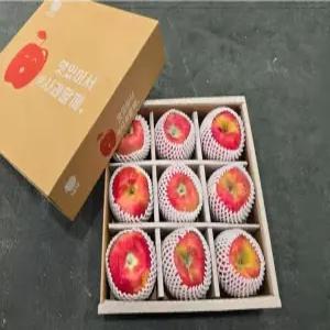 [넉넉] 경북 청송 안동 부사 선물세트 9과 2kg 내외