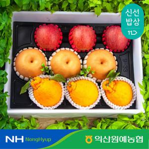 [익산원예농협] 과일 혼합 프리미엄 명절 선물 세트 4kg 특 사과3과 배3과 한라봉3과