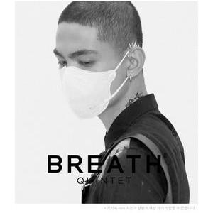 브레스 퀸텟 화이트 고급 마스크 나노필터  새부리형 대형 1팩2매입 (100매입)