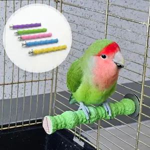 앵무새횟대 앵무새 중 부리갈이 발톱 횟대