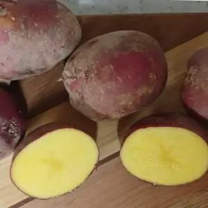 홍감자  대싸이즈  10kg --1박스