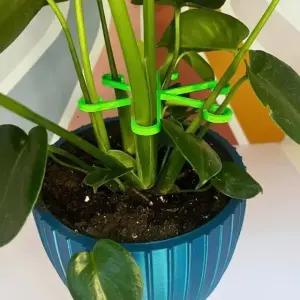 4개 줄기고정 식물지지대 화분지지대 줄기지지대 넝쿨 (WFH60WO)