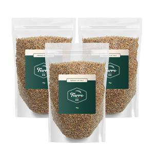 마이허브랩 파로밀 파로곡물 엠머밀 고대곡물 슈퍼푸드 이탈리아산 500g 3개