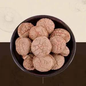 무안 도담 생 표고버섯1kg 가정용(못난이)