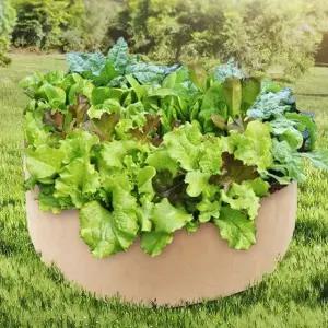 부직포 화분 80cm 베이지 블루베리 채소재배 가꾸기 (WFHS37E)