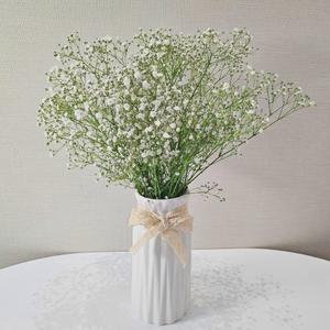 [꽃같은하루] 안개꽃 생화 꽃다발 택배 안개꽃다발 셀프 부케 꽃 배달 싼곳