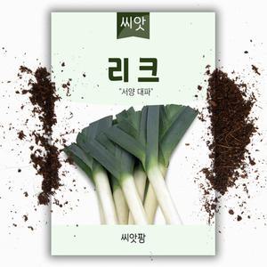리크 LEEK 씨앗 10g 서양대파  리이크 씨앗 종자