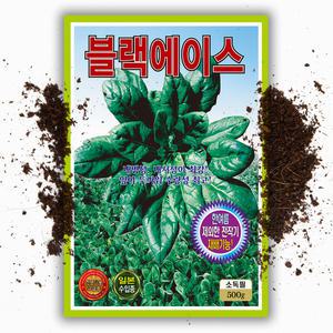 대용량 블랙에이스 시금치 씨앗 500g 일본 수입종 잎이 두꺼워 수량많음