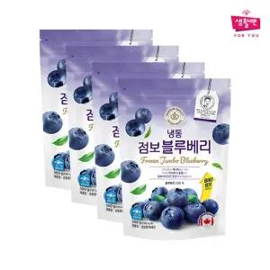 [생활앤] 냉동 점보 블루베리 17.5mm(캐나다) 500g x 4팩