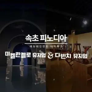 [강원]피노디아 뮤지엄 입장권
