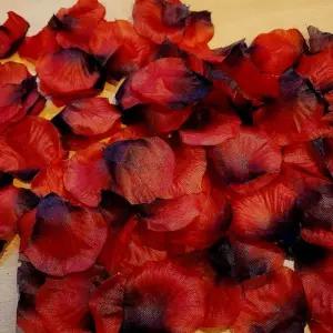 장미꽃 잎 낱장형 3개