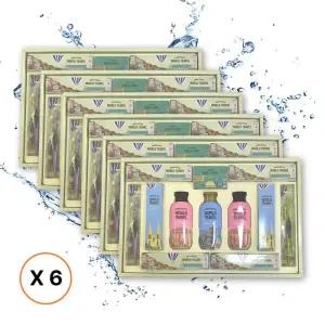 LG생활건강 유럽트레블 뉴월드에디션 X 6 TB