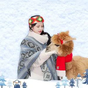 [홍천] 알파카월드 입장권(9/1~)/양떼목장/동물원/체험/가볼만한곳/데이트/동물원/강원도/아이랑/여행/관광