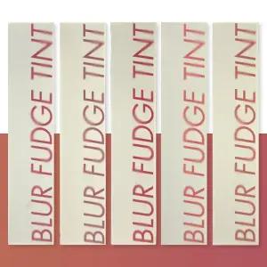 롬앤 블러 퍼지 틴트 5g 푸시아바이브 코랄쥬빌레 쿨로즈업 포멜로코 모비쉬