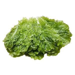 야채이야기 싱싱한 국내산 청상추 500g 모듬쌈 상추쌈