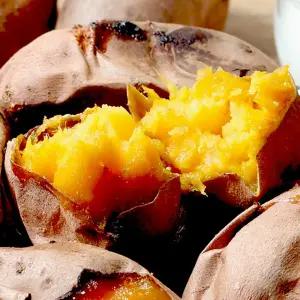 25년 해남고구마 가온 꿀고구마 10kg 대용량